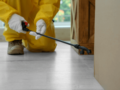 About Ryan Pest Management - pest control experts in East Victoria Park
